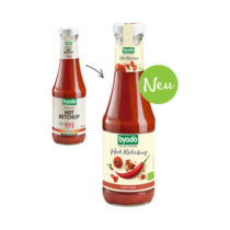 Byodo Hot Ketchup 500ml