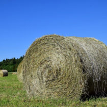 Heurundballen für die Tiere vom Lebenshof Tiermensch