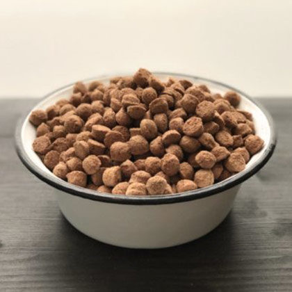 Vegan4Dogs-Edgar-veganes-Hundefutter