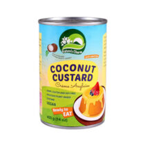 Nature’s Charm Kokosnuss-Pudding 400g
