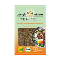 Peaceful Delicious Sojabohnen Tempeh Orientalische Gewürze 200g