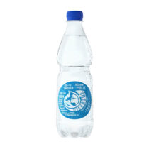 Viva con Agua Appenzell Mineral Laut 0.5l P