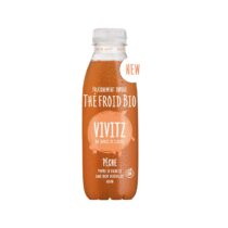 Vivitz Bio Eistee Pfirsich 500ml
