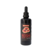 Naturkraftwerke Reishi Vitalpilz konzentriertes Flüssig Extakt 100ml