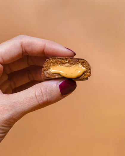 Linis-Bites-Vanille-Cookie-Pralinis-vegan-und-glutenfrei Linis-Bites-Vanille-Cookie-Pralinis-vegan-und-glutenfrei