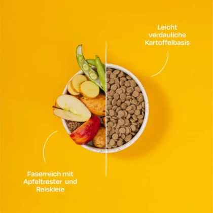 VegDog-Farmers-Crunch-Trockenfutter-vegan-Hund VegDog-Farmers-Crunch-Trockenfutter-vegan-Hund