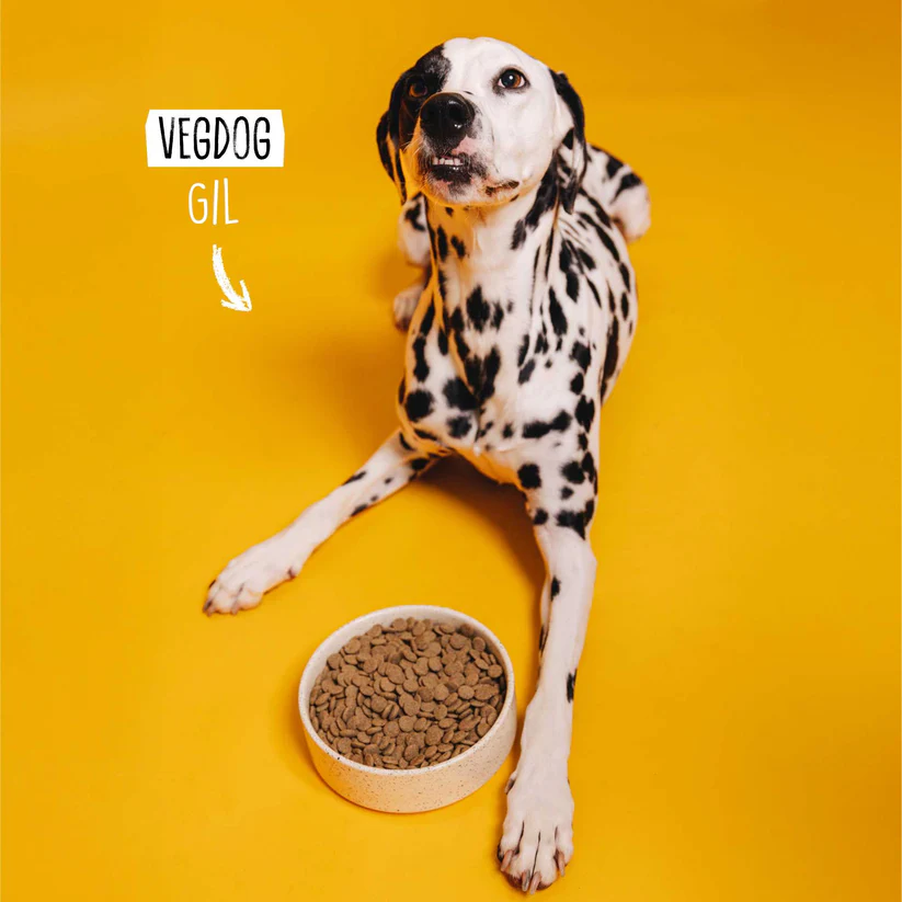 VegDog-Hund-vegan-ernaehren-mit-farmers-crunch VegDog-Hund-vegan-ernaehren-mit-farmers-crunch