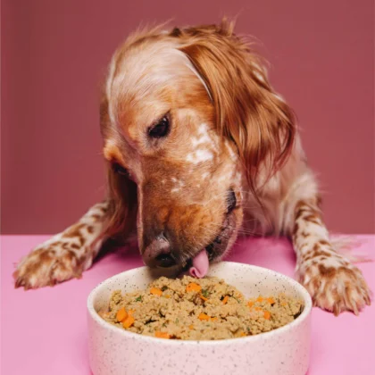 VegDog-Hundenassfutter-Sensitive-Lupinenprotein-vegan