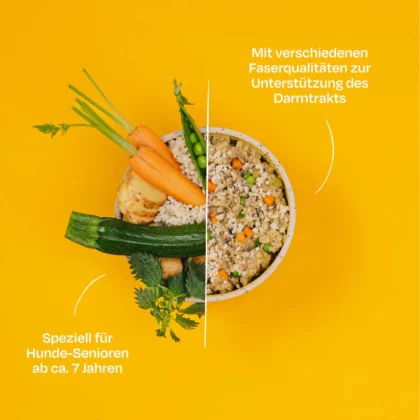 VegDog-Nassfutter-mit-Erbsen-und-Hirse-fuer-aeltere-Hunde-vegan VegDog-Nassfutter-mit-Erbsen-und-Hirse-fuer-aeltere-Hunde-vegan