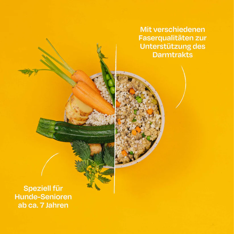 VegDog-Nassfutter-mit-Erbsen-und-Hirse-fuer-aeltere-Hunde-vegan VegDog-Nassfutter-mit-Erbsen-und-Hirse-fuer-aeltere-Hunde-vegan