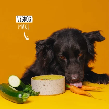 VegDog-Senior-Nassfutter-vegan VegDog-Senior-Nassfutter-vegan