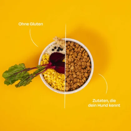 VegDog-Simply-Crunch-Trockenfutter-Hund-vegan VegDog-Simply-Crunch-Trockenfutter-Hund-vegan