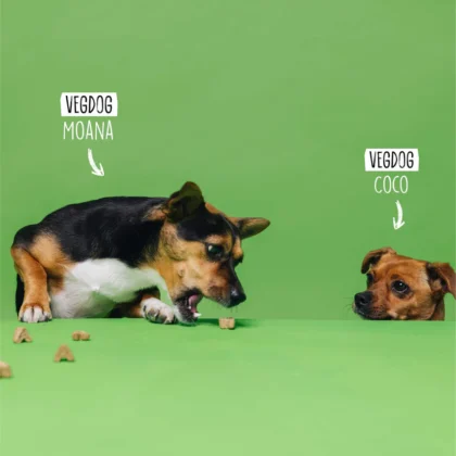 VegDog-Vegggies-Skincare-Hundesnack-vegan