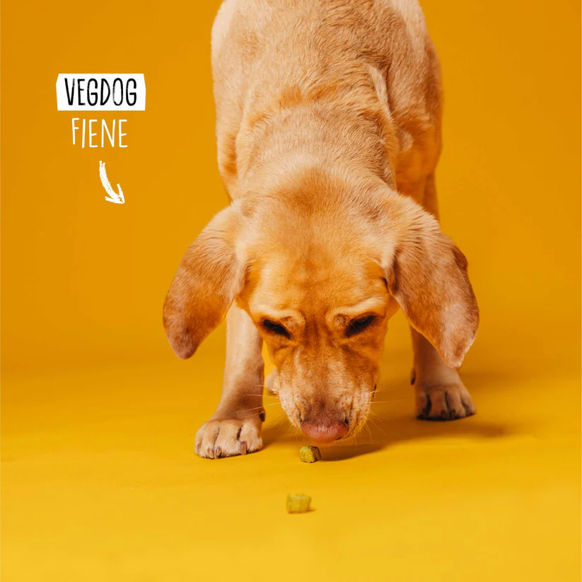 VegDog-Veggies-Immune-vegan-Dog-Snack VegDog-Veggies-Immune-vegan-Dog-Snack