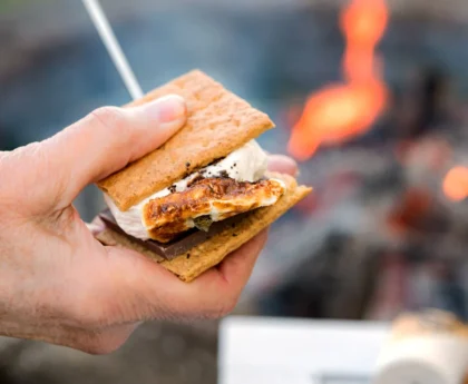 Danies-Campers-vegane-Marshmallows-riesig Danies-Campers-vegane-Marshmallows-riesig