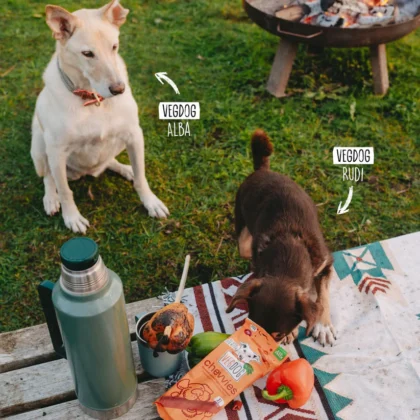 Vegdog-veganer-Kausnack-feur-Hunde