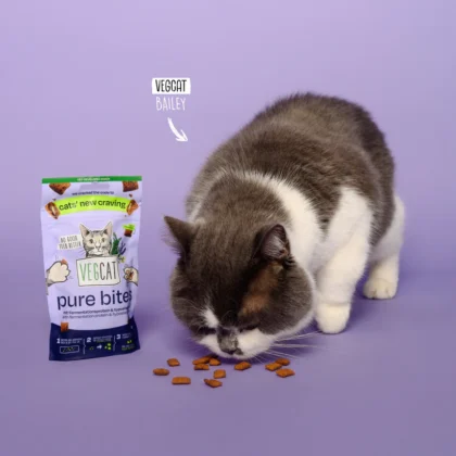 vegcat-pure-bites-vegan