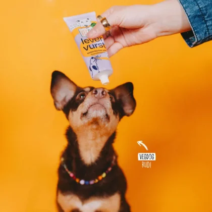 vegdog-veganer-Hundesnack-levervurst