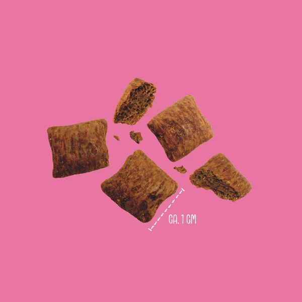 VegDog-Brainy-Bites-veganer-Hundesnack VegDog-Brainy-Bites-veganer-Hundesnack